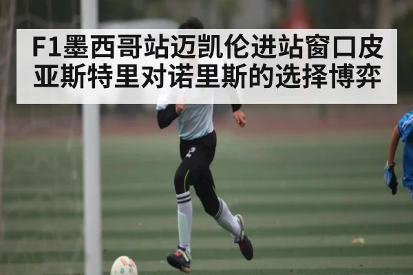F1墨西哥站迈凯伦进站窗口皮亚斯特里对诺里斯的选择博弈